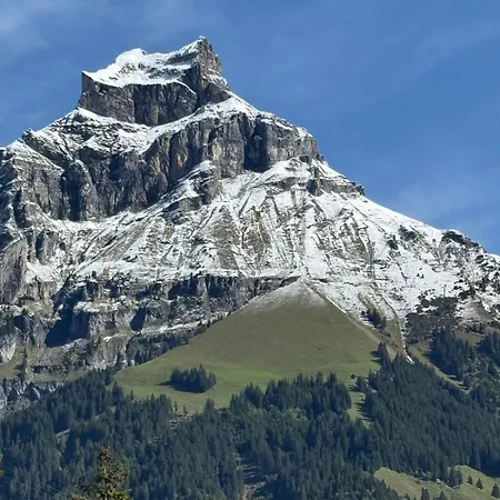Alpine Nest Tiltlis, Garden, Central, Lucerne Lägenhet Engelberg